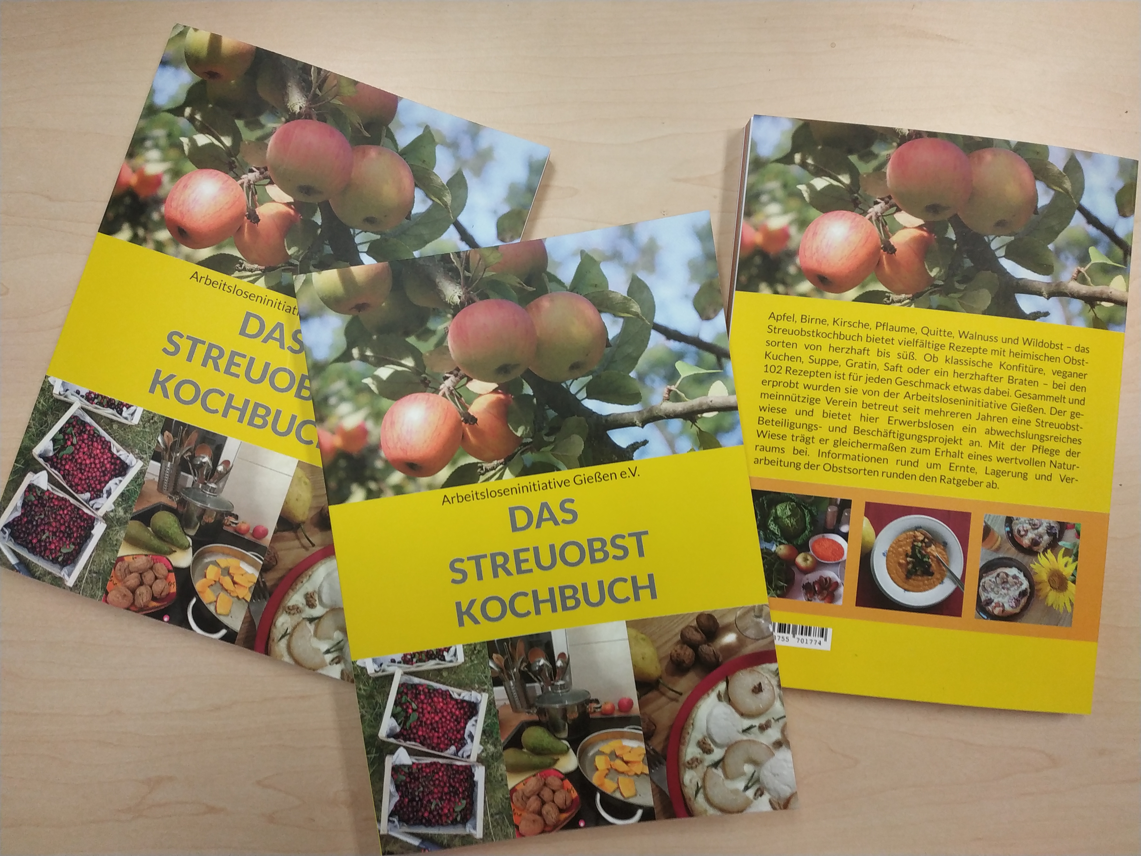 Um Tipps weiterzugeben, wie das Leben mit Hartz IV und wenig Geld gemeistert werden kann, aber auch wie nachhaltigeres und umweltverträglicheres Wirtschaften möglich ist, veröffentlichen Aktive aus der ALI immer wieder Flyer und kleine Broschüren.
