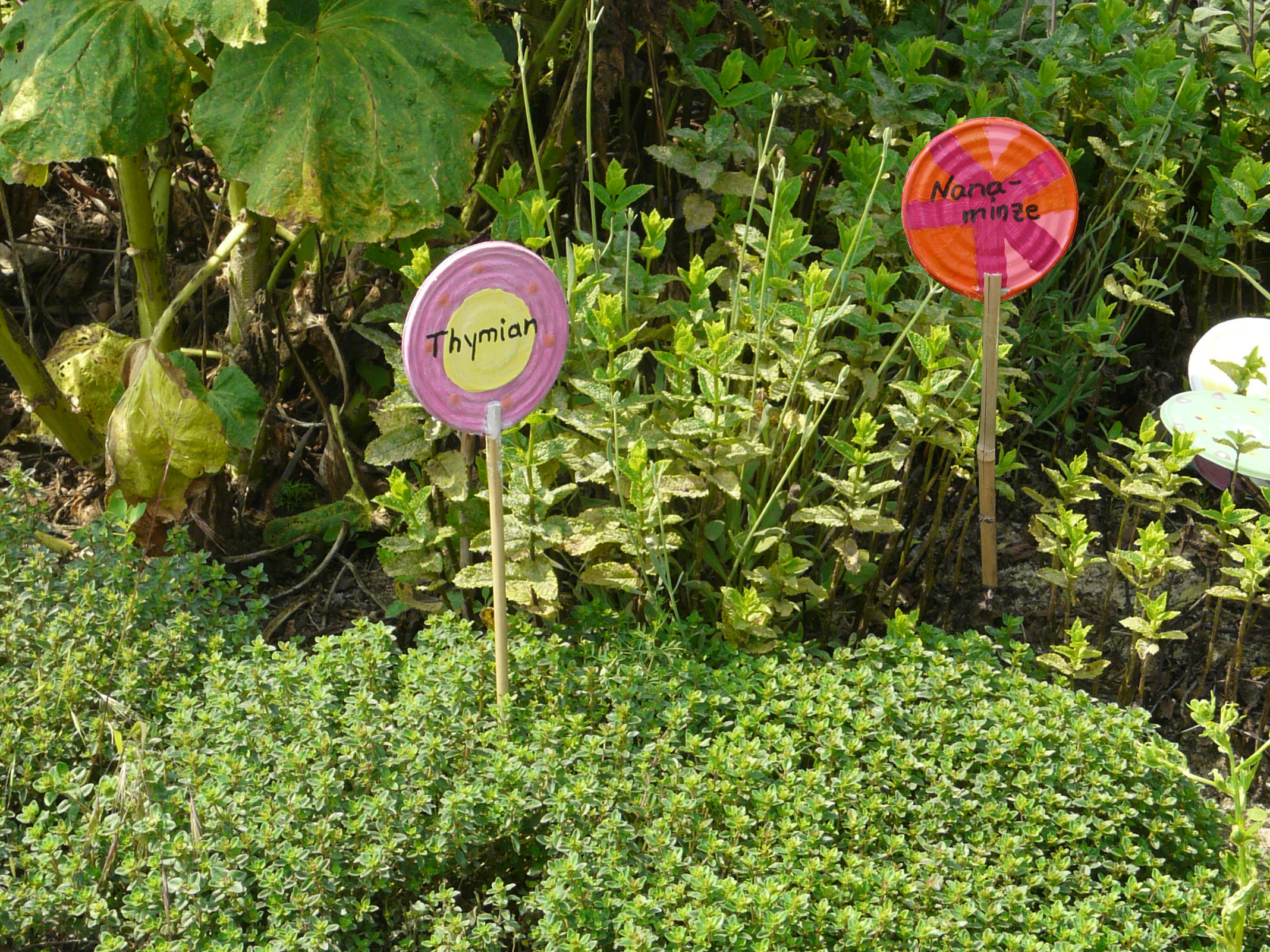 Kräuter im Beet mit Kräuterschildern